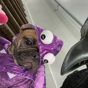 Meet your Posher, Jared